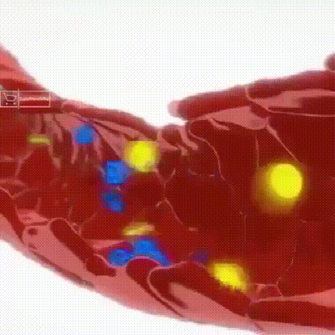 8f3d8f05b3b3bf9314937f0a2aa6e21e.gif