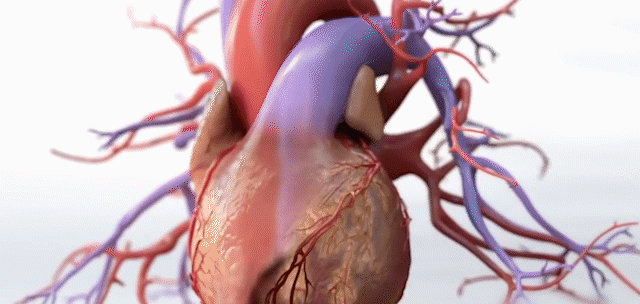a6b1721b10eb0724f10b28e168026174.gif